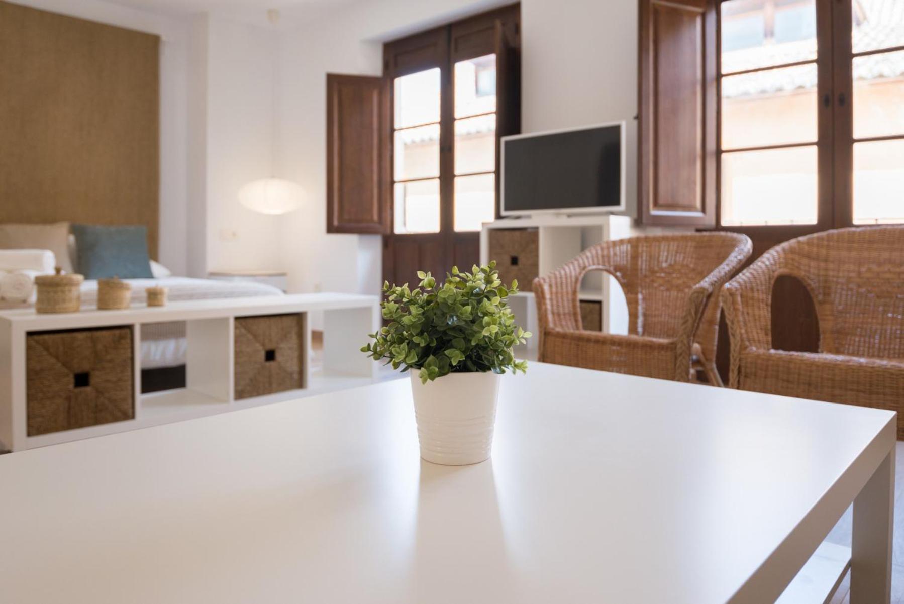 Santiago Premium Loft Ii Apartment Málaga